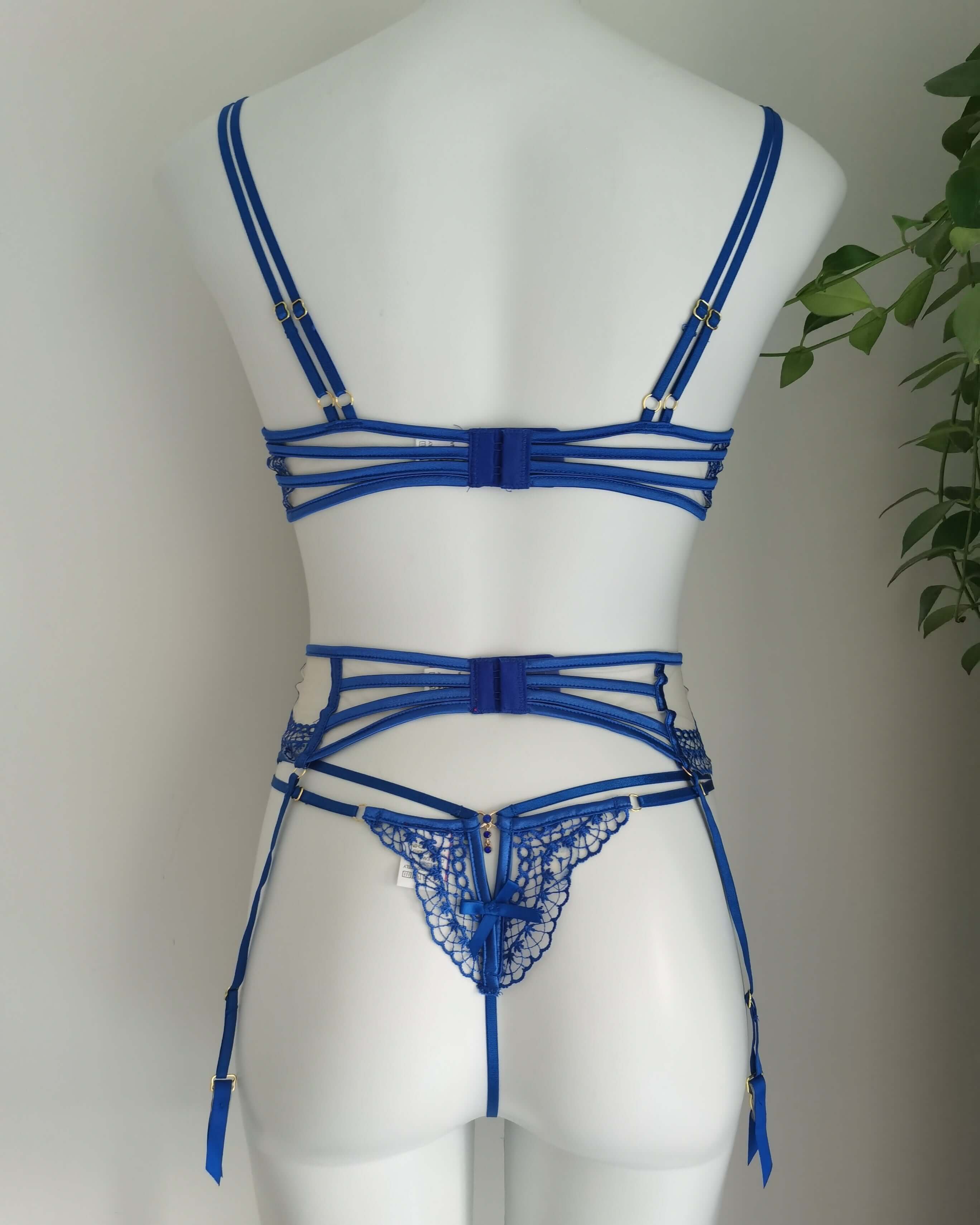 Heaven on Earth - Sheer, Blue, Sexy Lingerie Set